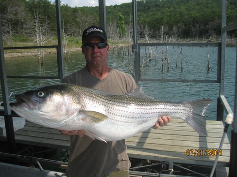 Nice Striped Bass